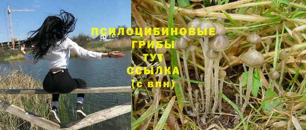 трава Алзамай